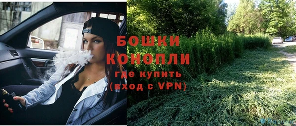 стафф Карпинск