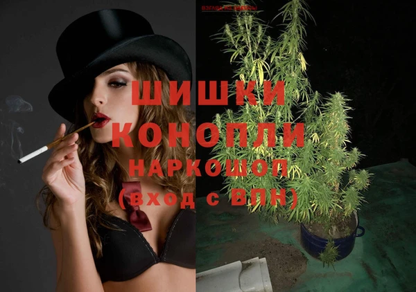 ПСИЛОЦИБИНОВЫЕ ГРИБЫ Касимов