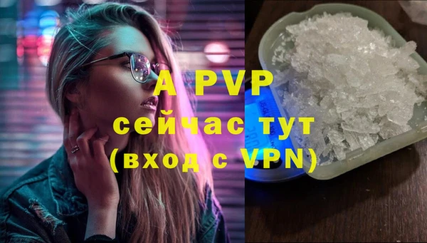 ПСИЛОЦИБИНОВЫЕ ГРИБЫ Касимов