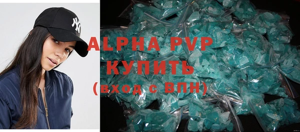 стафф Карпинск