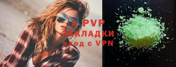 ПСИЛОЦИБИНОВЫЕ ГРИБЫ Касимов