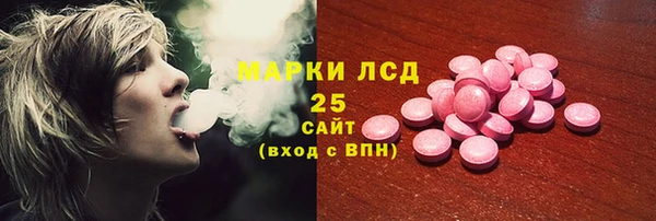 стафф Карпинск