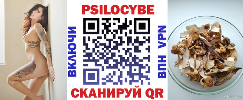 Купить закладки  Межгорье  Псилоцибиновые грибы прущие грибы 